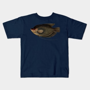 Gourami Fish Vintage Scientific Illustration Kids T-Shirt